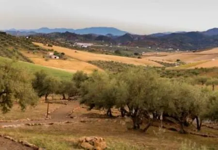 Relente Casa rural *